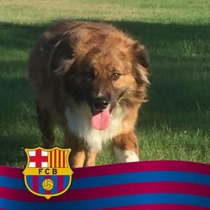 Meet your Posher, Youssef